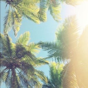 Meet your Posher, Elise