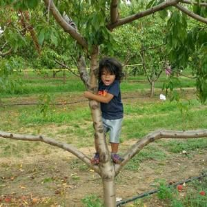 Meet your Posher, Rossy