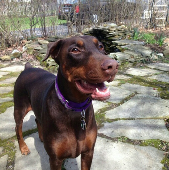 Meet your Posher, Kerri - Picture 4 of 4