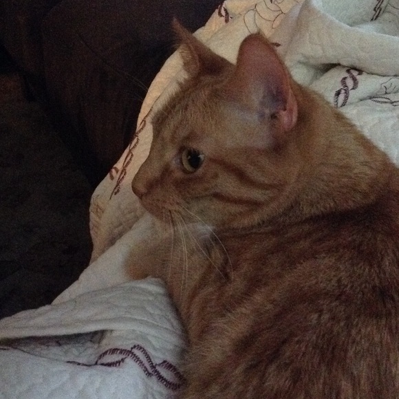 Meet your Posher, Leigh - Picture 1 of 1