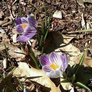 Meet your Posher, Cathie