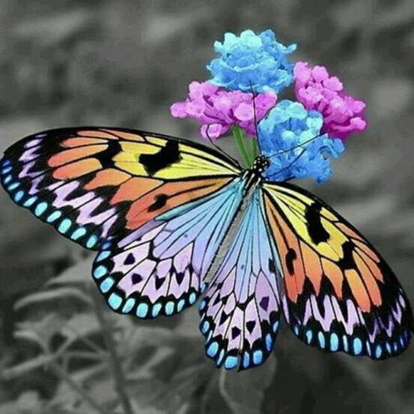 Meet your Posher, Cathy - Picture 1 of 1