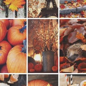 Meet your Posher, Marie