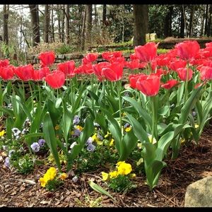 Meet your Posher, Caroline