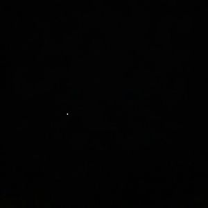 Meet your Posher, Talisha