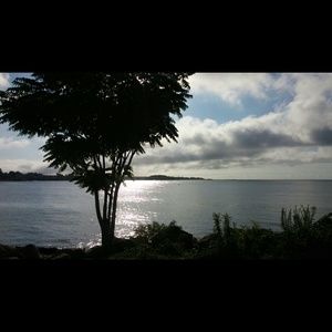 Meet your Posher, Tammi