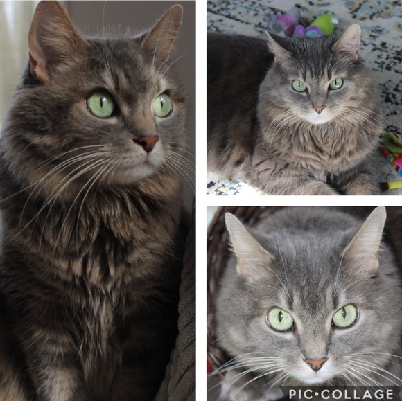 Hi! I'm Rebekah 💞 - Picture 2 of 11