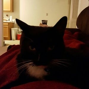 Meet your Posher, Amber