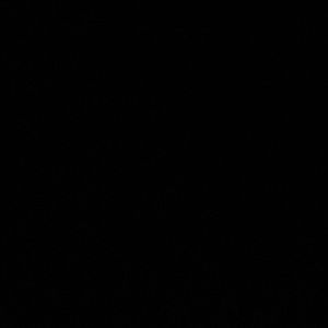 Meet your Posher, Ashli