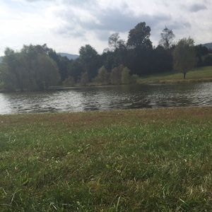 Meet your Posher, Leigh