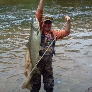 Meet your Posher, Bobbi jo