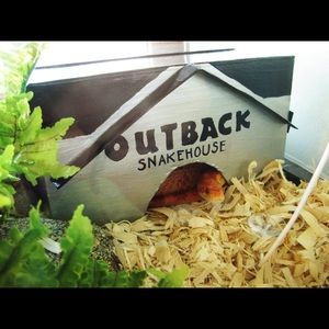 Meet your Posher, Dom