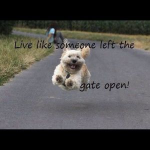 Meet your Posher, Marian