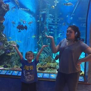 Meet your Posher, Danielle