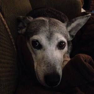 Meet your Posher, Lorey