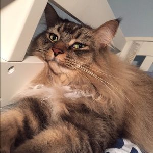 Meet your Posher, Audrey