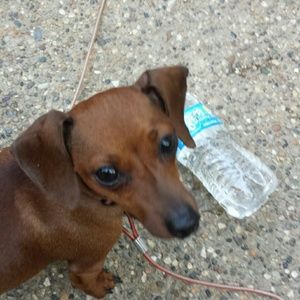 Meet your Posher, Sally