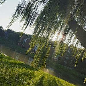 Meet your Posher, Lindsey