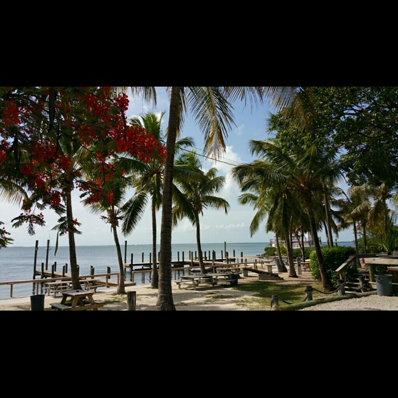 Meet your Posher, Janet - Picture 1 of 1