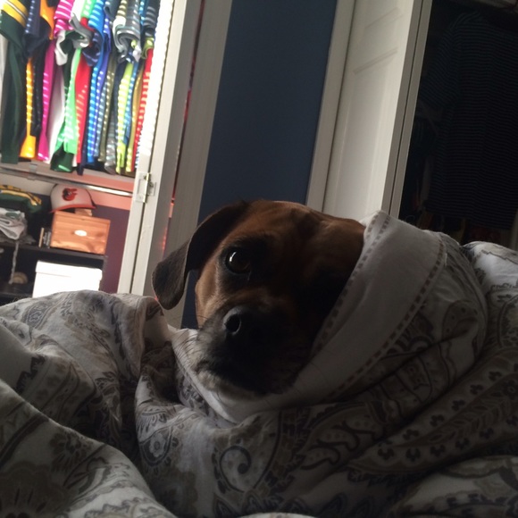 Meet your Posher, Sarah - Picture 1 of 1