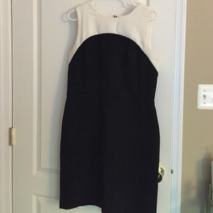 Black and White Loft Dress