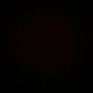 Meet your Posher, Lexi