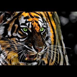 Meet your Posher, Christiana