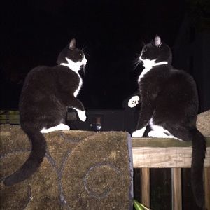 Meet your Posher, Lori-beth