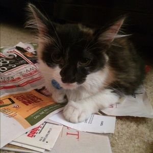 Meet your Posher, Kyke