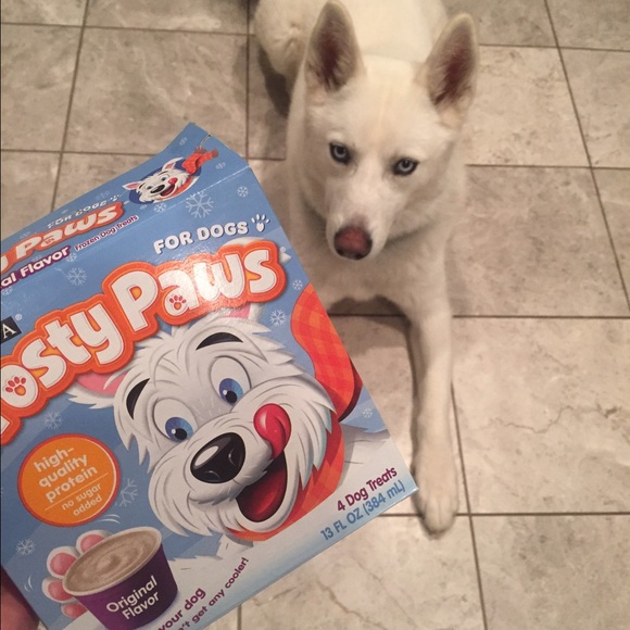 Meet your Posher, Kiara - Picture 1 of 1