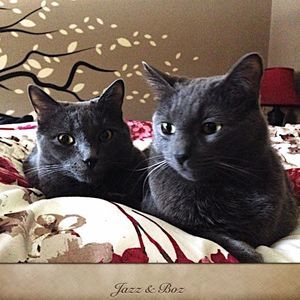 Meet your Posher, Sandy