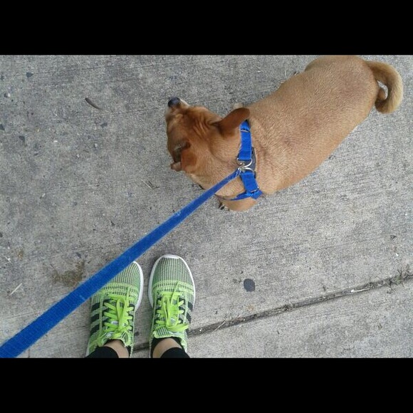 MEET THE POSHER (Updated) - Picture 4 of 4