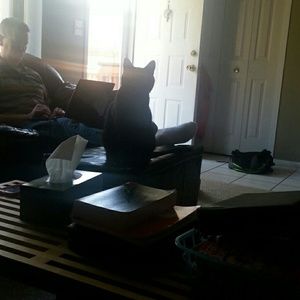 Meet your Posher, Angela