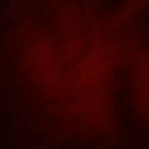 Meet your Posher, Joshua