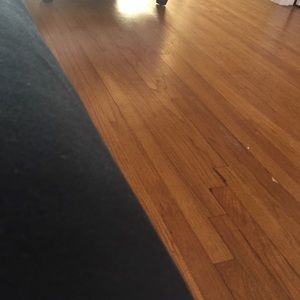 Meet your Posher, Sam