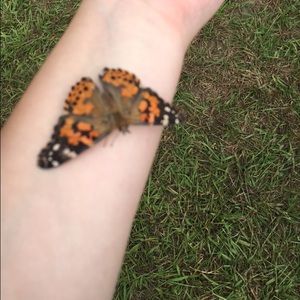 Meet your Posher, Kailey