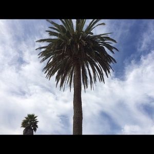 Meet your Posher, Annika