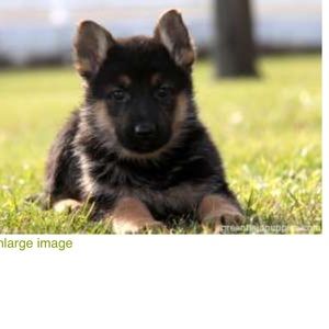 Meet your Posher, Ruth