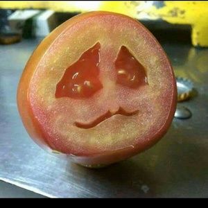 Meet your Posher, Jose