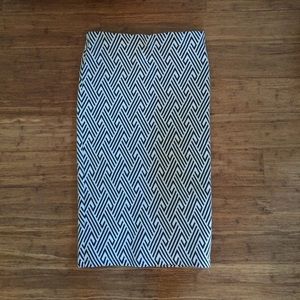 Zara Pencil Skirt