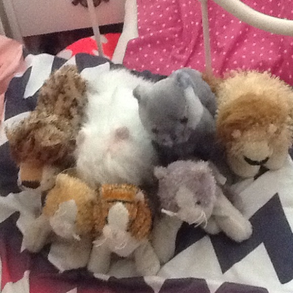 Webkinz for @krinny