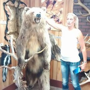 Meet your Posher, Tracey