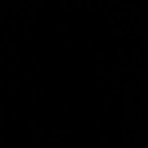 Meet your Posher, Gracie