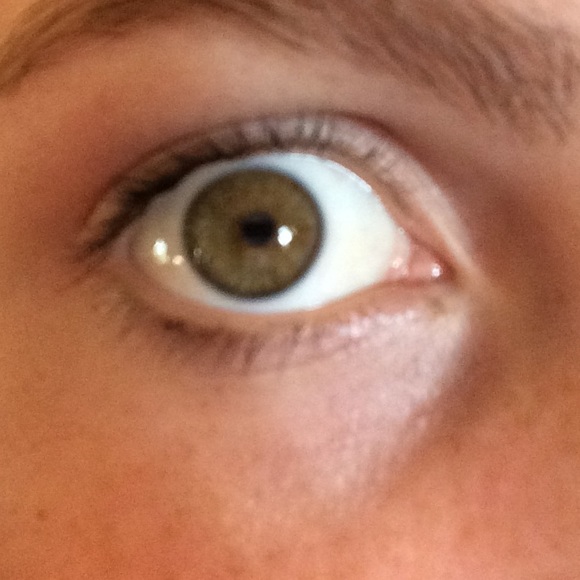 Meet your Posher, Skylar - Picture 1 of 1