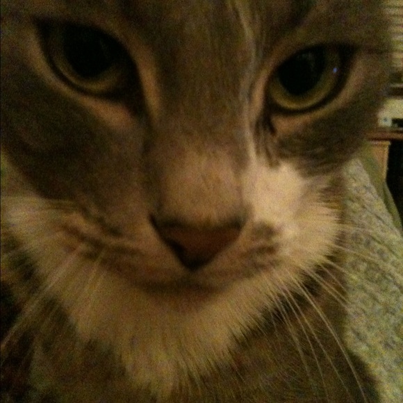 Meet your Posher, Jodi - Picture 3 of 4