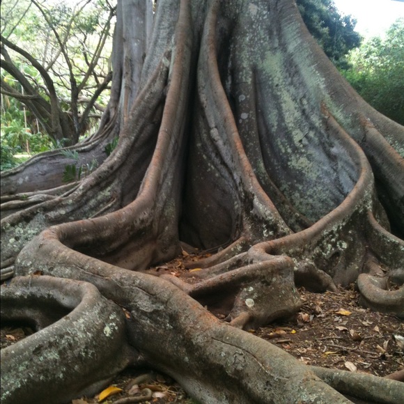 Meet your Posher, Jodi - Picture 4 of 4