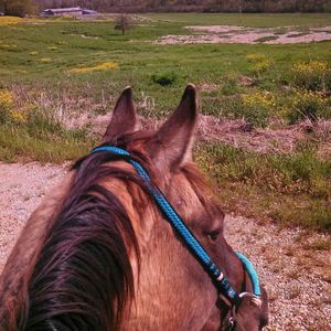 Meet your Posher, Taylor