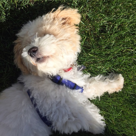 Meet your Posher, Becky