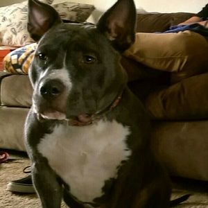 Meet your Posher, Jasmine