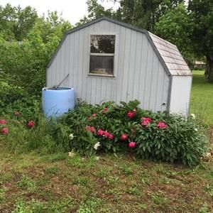 Meet your Posher, Becky